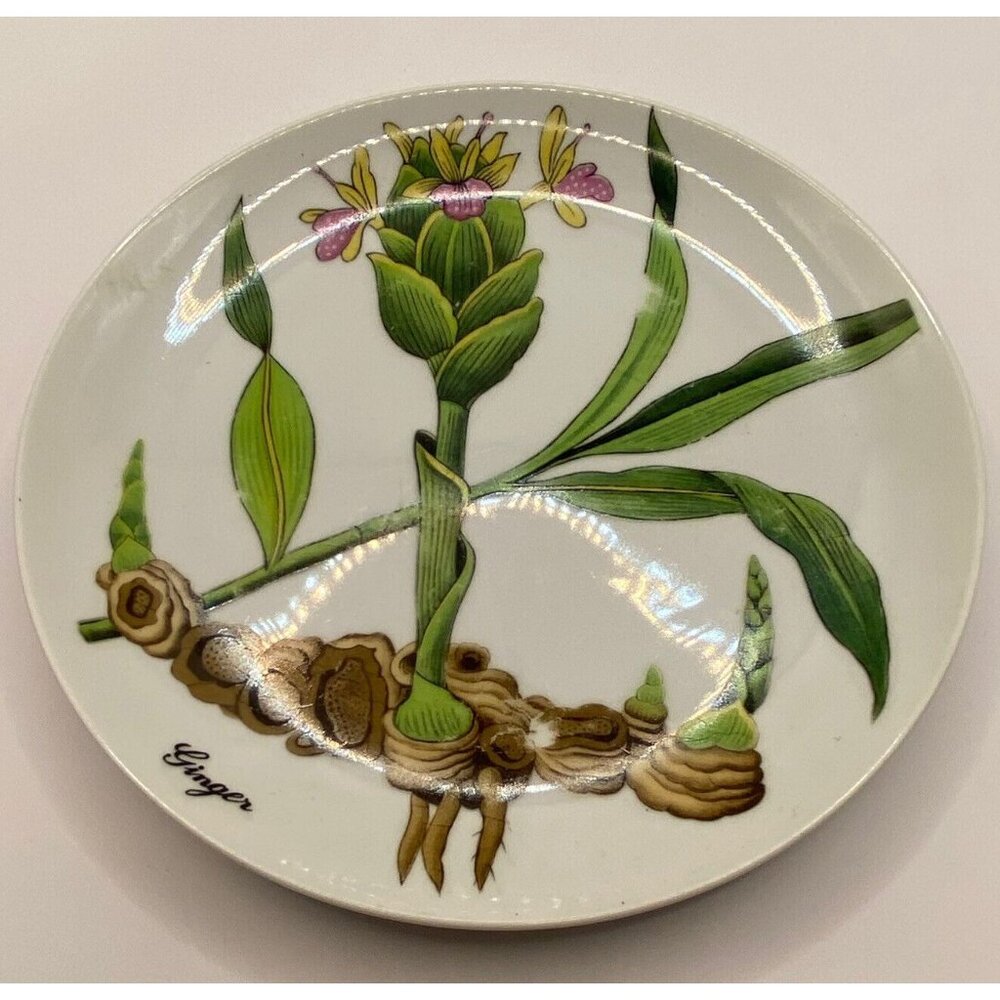 Vintage Shafford botanical 5 ceramic salad plates herbs seeds poppy ginger Japan - Picture 2 of 10